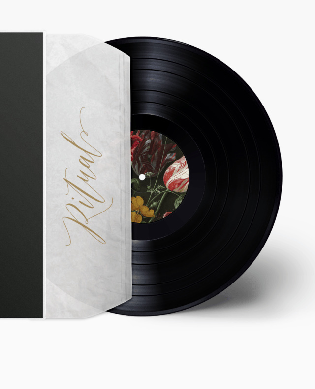 music poster, album art, fan art, music, vinyl, record design, graphic design, album, music art, poster design,