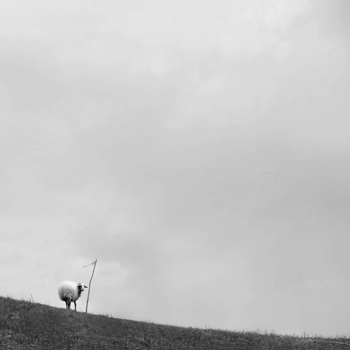 Minimalist Black and White Landscape Photography by Mostafa Nodeh