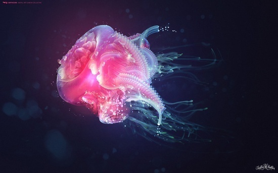 Pinned Image #digital