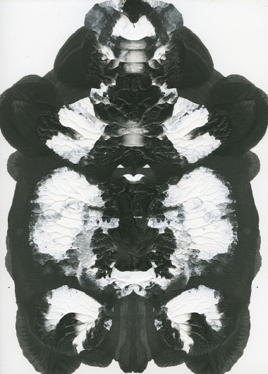 Variations on a Theme #illustration #rorschach