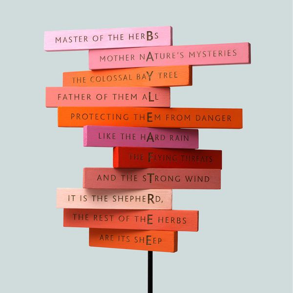 Planting Poetry Burgess Studio #way #finding #wood #gradient #signage #typography