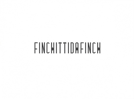FINCHITTIDA FINCH Identity on the Behance Network #logotype #branding #design #graphic #identity