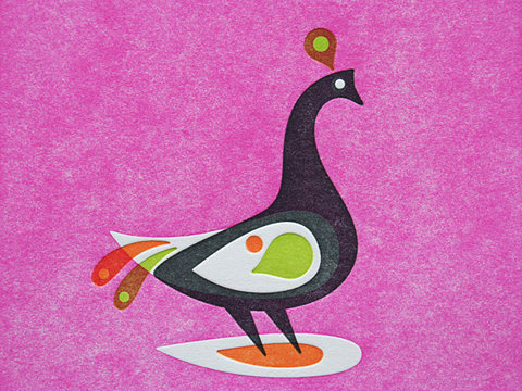 www.typetoy.tumblr.com #letterpress #deboss #peacock #impression #overlay