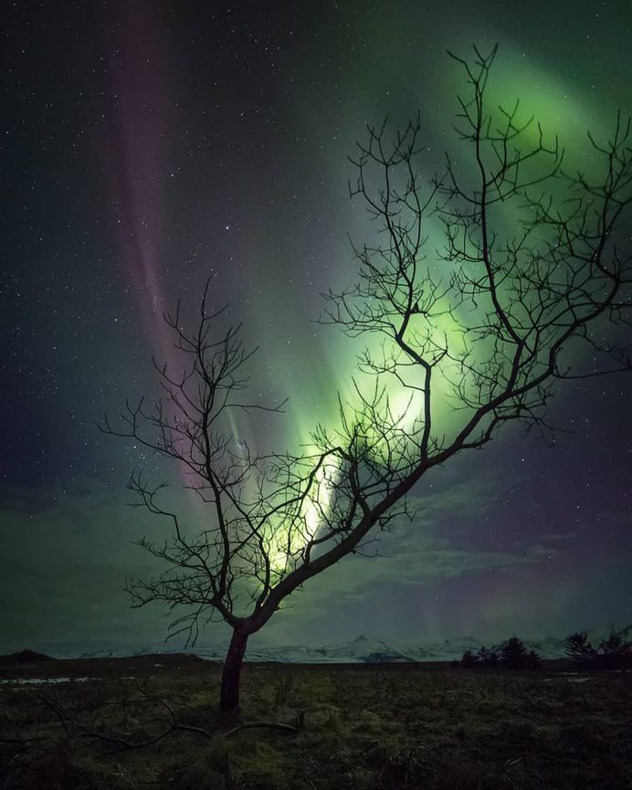 Magical Milky Way and Star Photography by Alyn Wallace