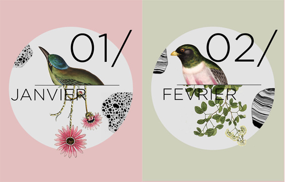 illustration, typography