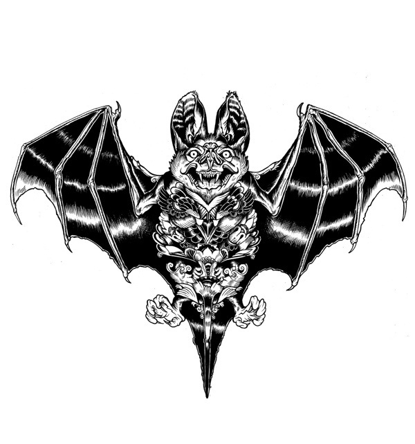 Wildlife part 2 on Behance #iain #bat #macarthur