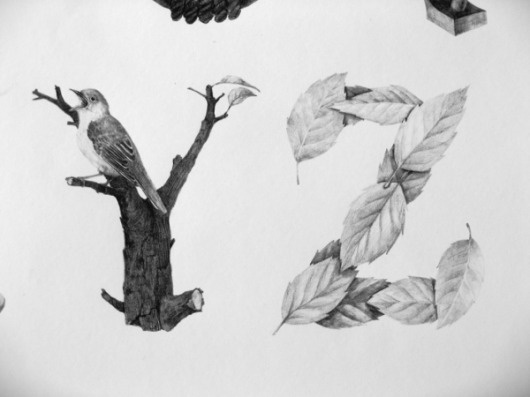 May on Typography Served #illustrated #konvica #by #jakub #type