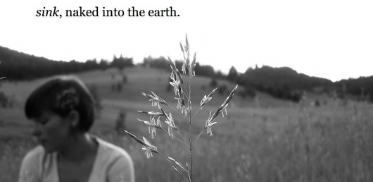 Wall Photos #poetry #nature