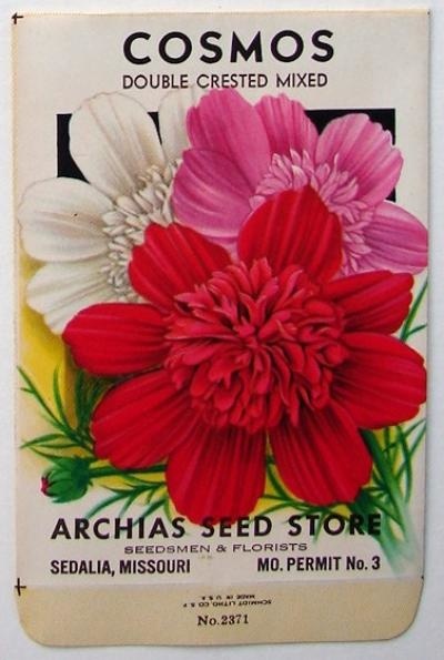 Seed Packet