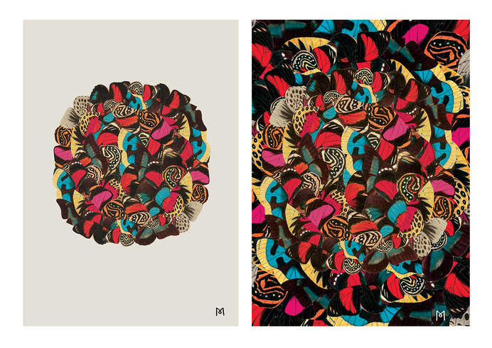 #butterfly, #collage, #graphic, #pattern