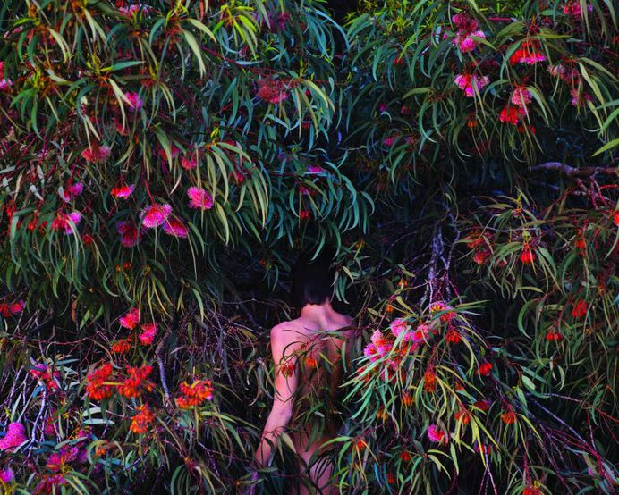 Jungle: Painterly Fine Art Portraits by Itamar Freed