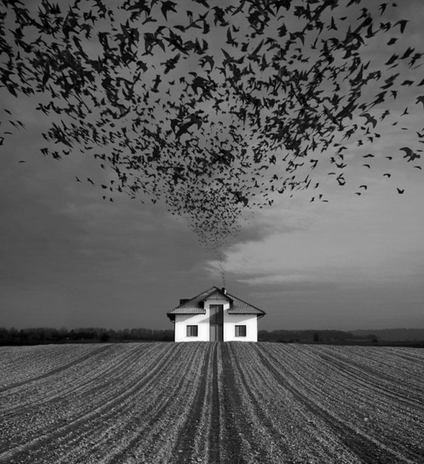 Photo Manipulations by Dariusz Klimczak #inspiration #photo #photography #manipulations