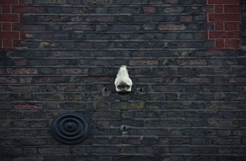 Non ho voglia di scrivere #brick #london #wall #nose