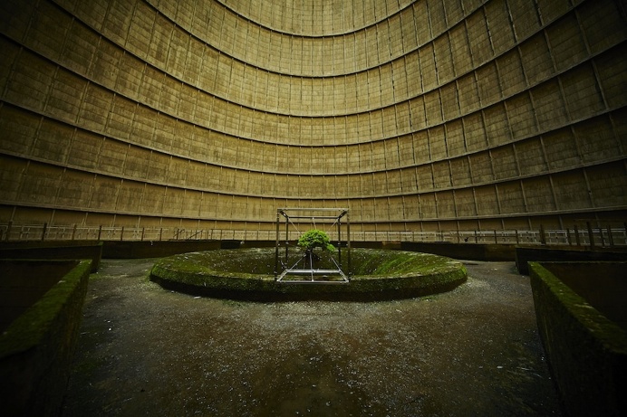A Suspended Bonsai Inside an Abandoned Power Plant