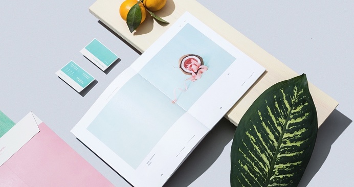 querido tulum branding corporate design graphic design modern visual modern inspiration best türkis rosa pink turquoise plant green art bea
