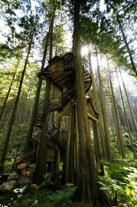 Treehouse #tree #forest #treehouse #home