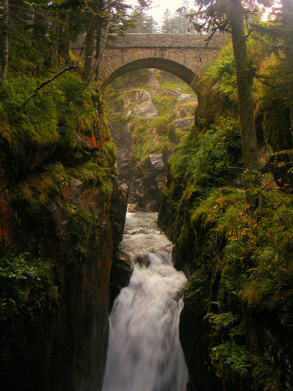 burning soul:Â Super.Apple #water #fall #wood #photography #nature #bridge #forest #river