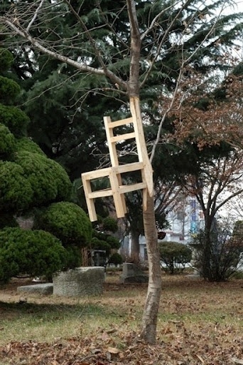 I need a guide: myeongbeom kim #tree #installation #chair #kim #myeongbeom