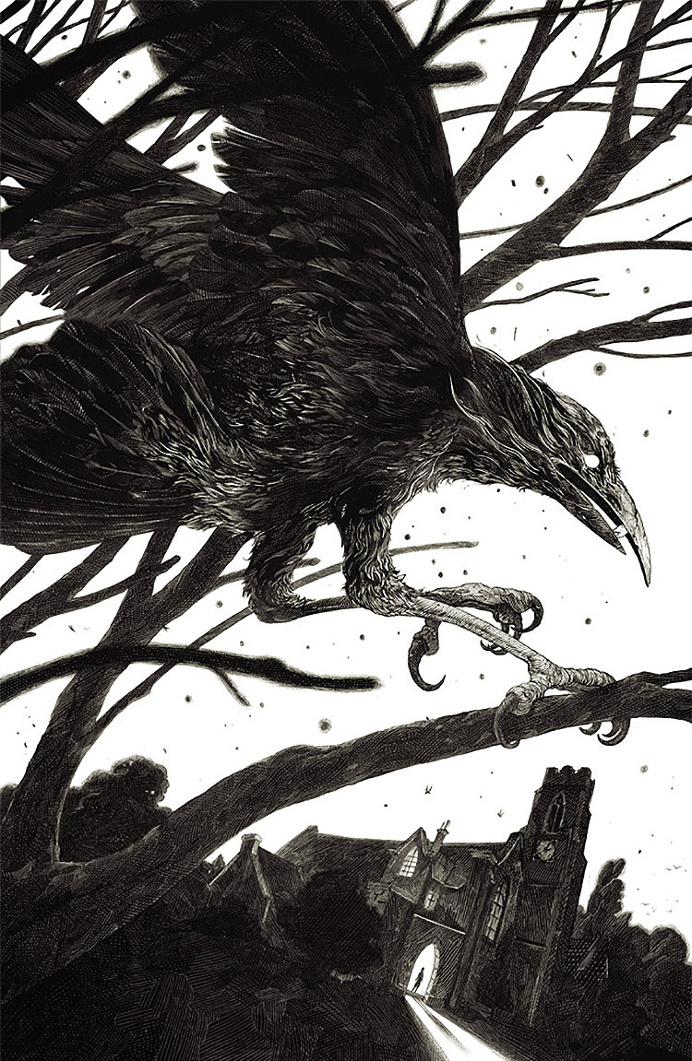 Ink Illustrations