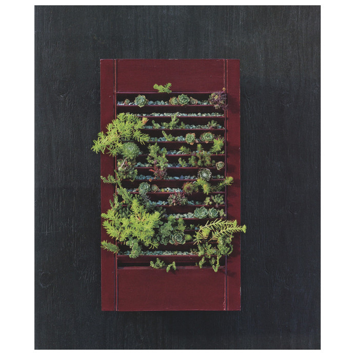 The Plant Recipe Book #greenery #recipe #book #photography #edible #plant