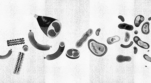 Lotta Nieminen #graphic #illustration #meat #nieminen #lotta