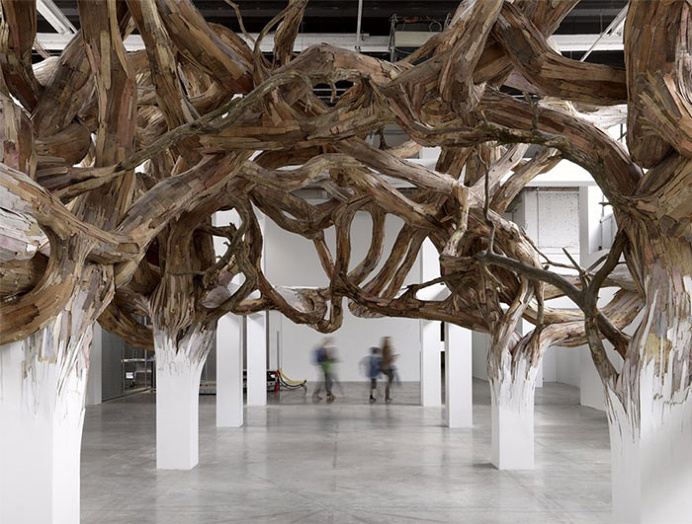 Organic Transformations by Henrique Oliveira