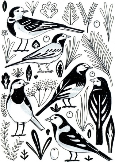 design work life » cataloging inspiration daily #birds