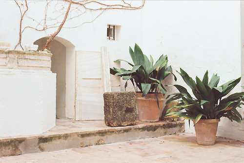 http://modus--vivendi.com/ #spain #white #plants #interiors #travel #journal #photography #light