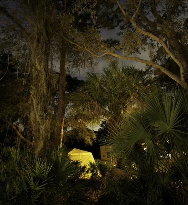 Night Photography by Frank Day #inspration #photography #art