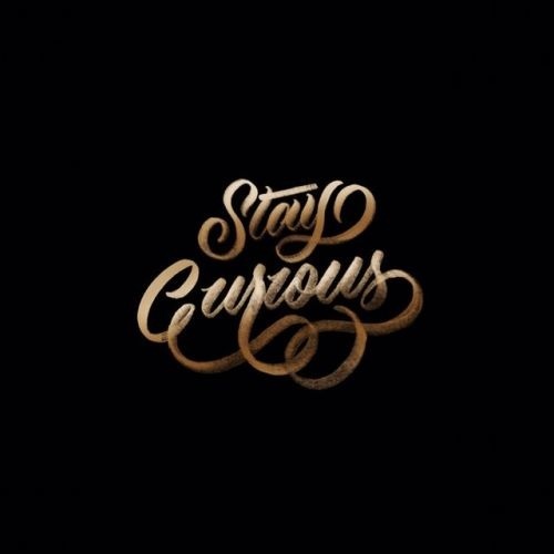 🖌 Stay Curious 🖌 - #lettering #brushlettering #handmadefont #type #typegang #goodtype #slowroastedco #thedailytype #kuretake #calligra