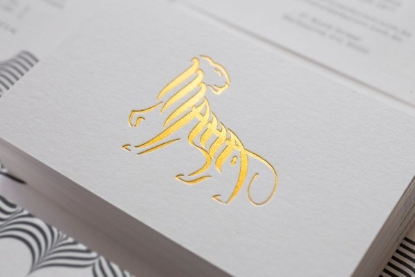 Confetti Studio | PICDIT