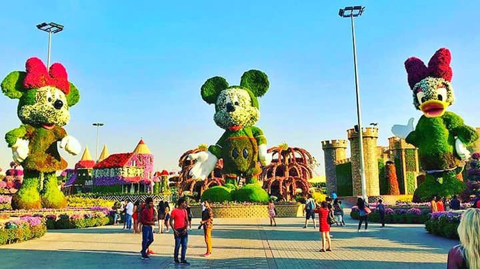 Among all the topiary arts of the Disney Avenue, one topiary art of the Minnie Mouse is the most colorful one. It has maximum numbers of flowers and more colors of flowers than other floral themes. It is located beside the Mickey Mouse topiary art.