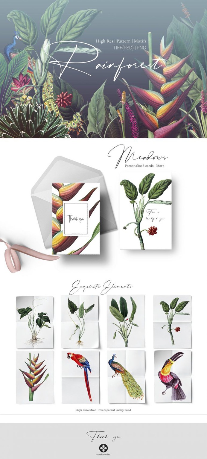 Rainforest Tropical Pattern set!