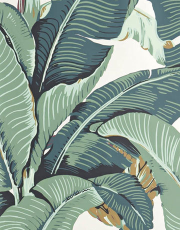 Leaves #illustration #hand #leaves