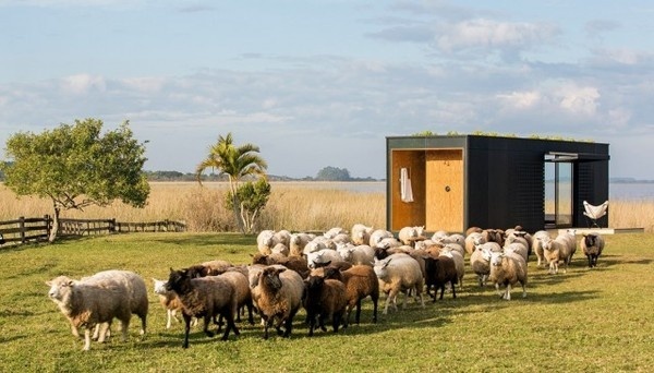 Prefab House Mini Modern1 #architecture