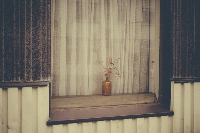 DSC02422 #window #photo