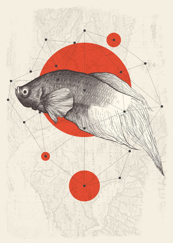 four points #lines #red #fish #map #dots