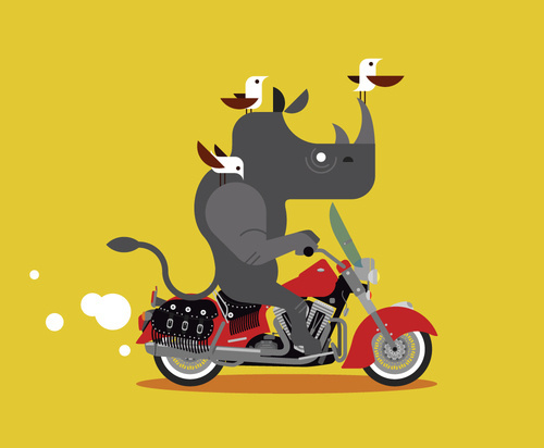 indian cycle whino.jpg #motor #ride #rhino #birds #indian #drive #motorcycle