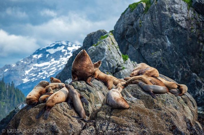#instatravel: Outstanding Travel Photography by Krista Rossow