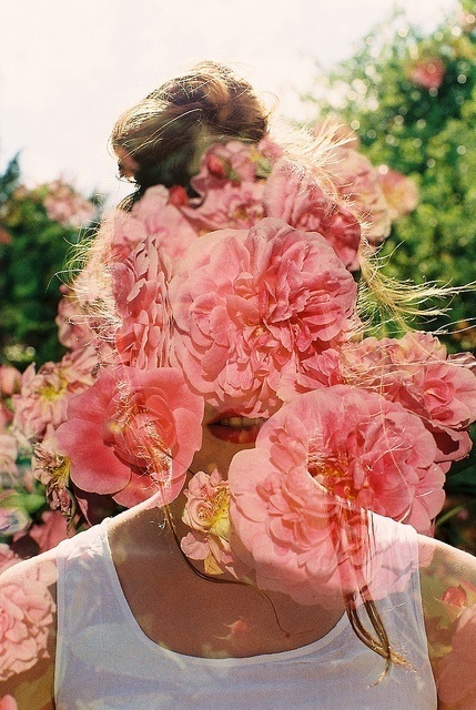 hollie fernando film #girl #still #floral #hollie #fernando #film #collage #flowers