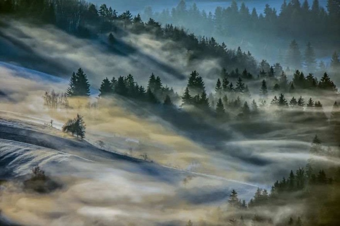 Foggy Landscapes of Slovenian Forests by Filip Eremita