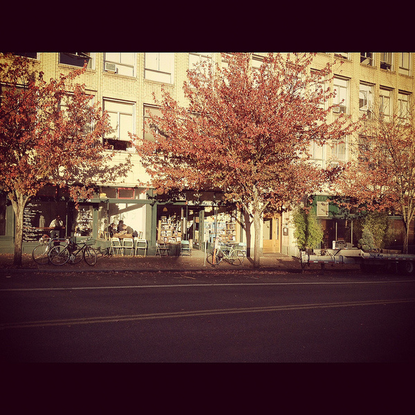 portland #tree #sun #portland #bike