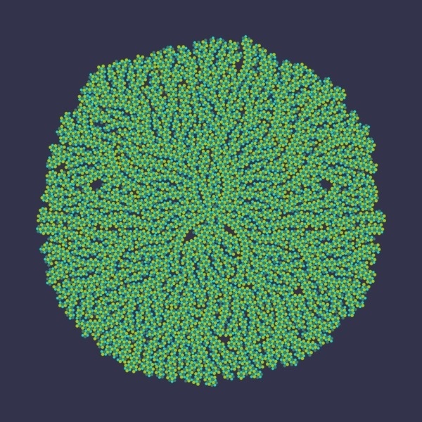 10332555146_fed329fcdc_o.png (1000×1000) #lace #generative #pattern #algae