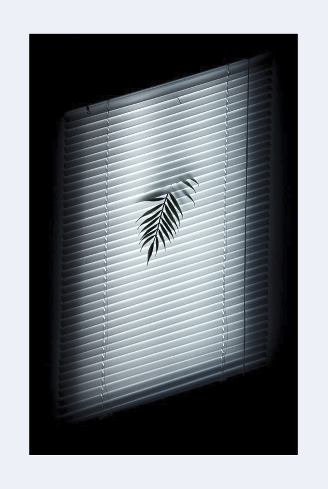 blinds