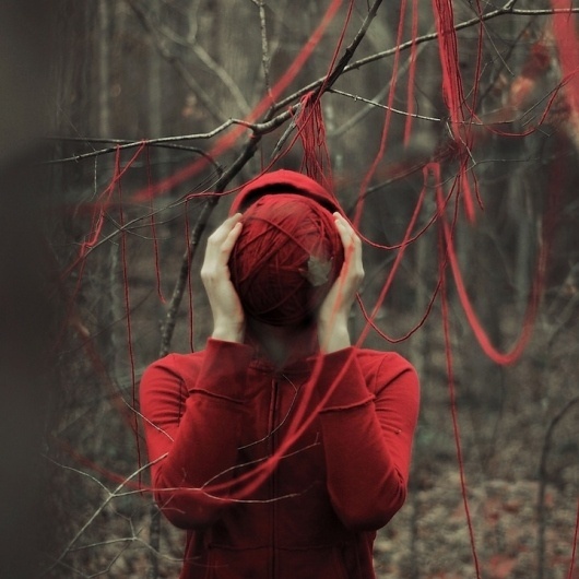 alexstoddard13 | Fubiz™ #thread #red #woods #nature #trees