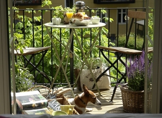 Volang #interior #design #decoration #flowers