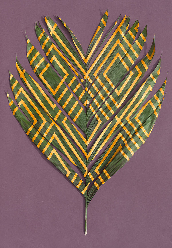 Sarah Illenberger | PICDIT