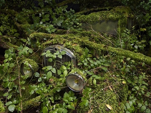 Colossal | An art and design blog. #photography