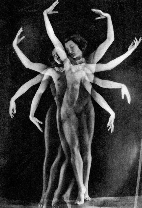 octo