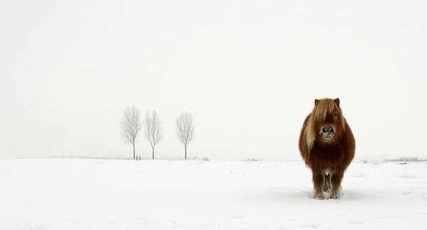Winners of the 2014 Sony World Photography Awards #inspiration #creative #photography